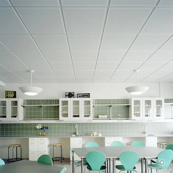 সাদা পিভিসি সিলিং বোর্ড