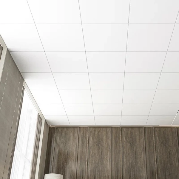 Cheap Plastic Ceiling
